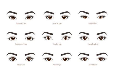 Types of woman eyes eye shapes – Artofit