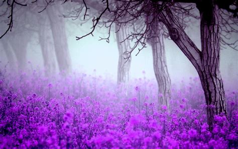 [62+] Purple Flowers Backgrounds | WallpaperSafari