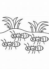Coloring Pages  Printable Free Ant sketch template