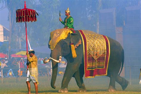 Guide to Thailand's Annual Surin Elephant Round-Up Festival - WanderWisdom