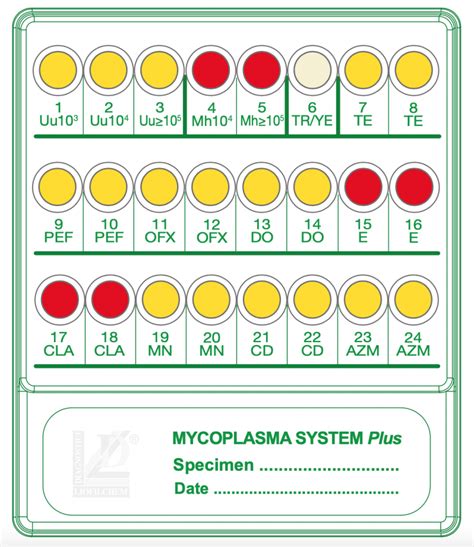 Mycoplasma System Plus - EWC Diagnostics