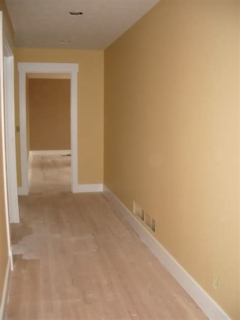 Humble gold paint color Sherwin Williams | Gold paint colors, Sherwin ...