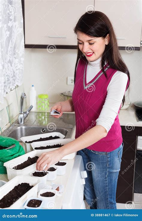 Woman sowing seeds in pots stock image. Image of seedlings - 38881467