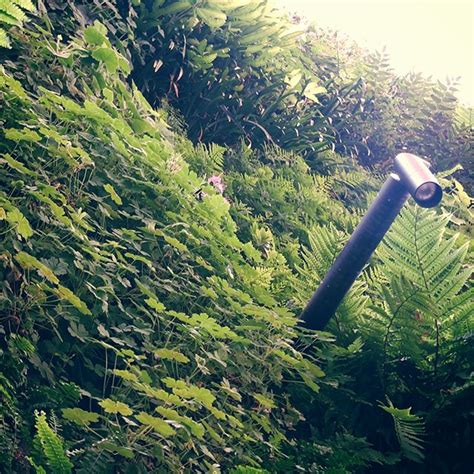 Photo: The Living Plant Wall @ SFMOMA • Andrew M. Crusoe