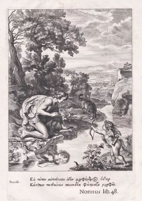 NARCISSUS NARCISSUS FLOWER Mythology Greek Mythology Diepenbeeck Engraving 1655 £44.55 - PicClick UK