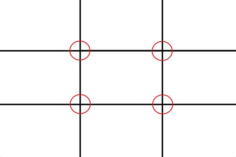 Rule-of-Thirds-Grid, planted tank placement | Aquarium Article Digest