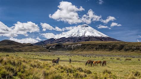 Cotopaxi National Park Visit| One of the Highest Active Volcanoes