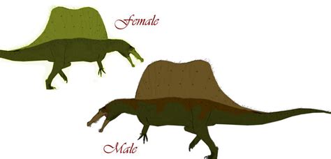 Male and Female Spinosaurus color schemes by Keegz97 on DeviantArt