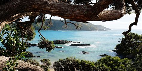 Northland, New Zealand: Top 5 Adventures in the Far North