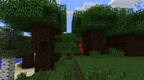 Dark Oak Wood Tree | Minecraft Network | Fandom