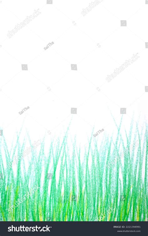 Grass Isolated On White Background Stock Illustration 2221394991 ...