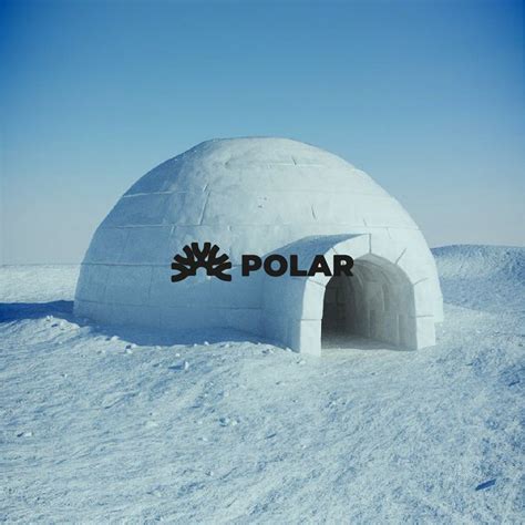 polar logo on Behance