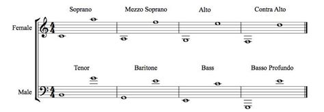 #DidYouKnow?: In the operatic systems there are six basic voice types. For women: soprano, mezzo ...