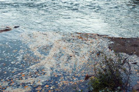 Degrading Rubbish Contaminating Water of Rivers Stock Photo - Image of diseases, atmosphere ...