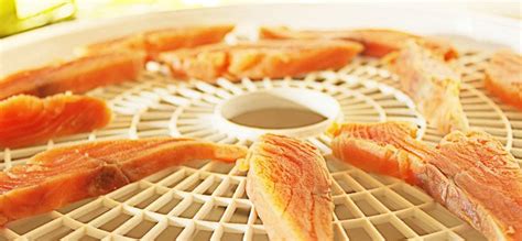 How to Make Salmon Jerky With a Dehydrator - Recipes 2020