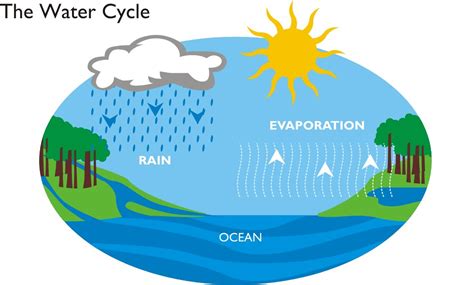 Water cycle | Water is a finite resource. The same water con… | Flickr