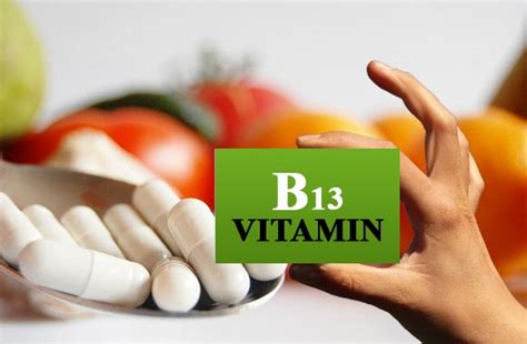 Vitamin B13 Benefits | DHM Health Research