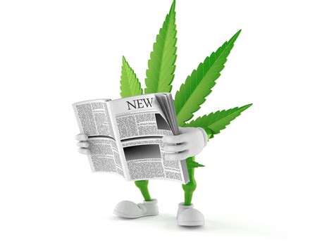 Top 5 Must Read Marijuana News Sites – FadeMD Blog