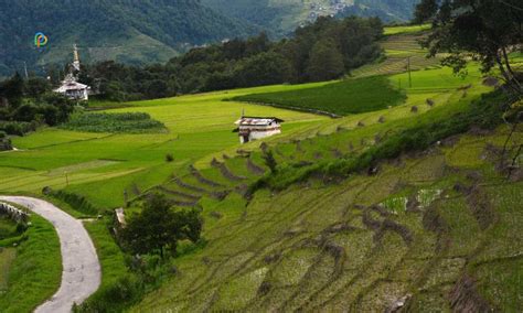 Ziro Valley A Journey To The Heart Of Arunachal Pradesh!