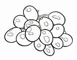 20  Grapes Coloring Pages Free Printable PDF & Online sketch template