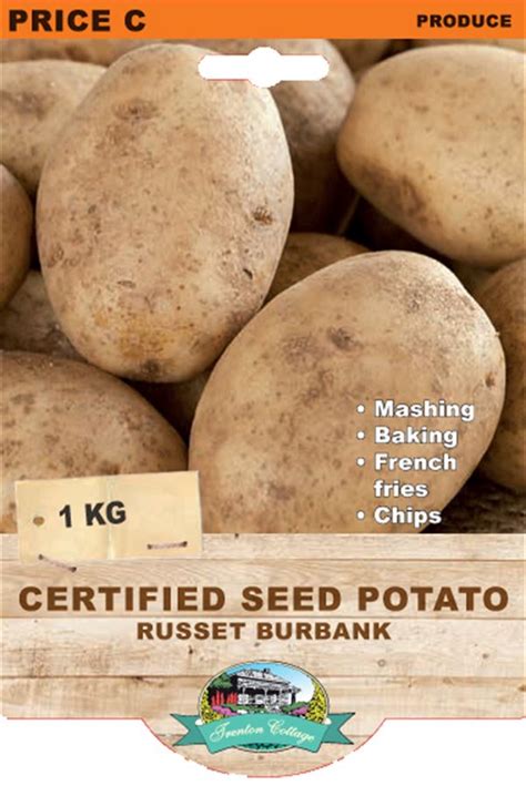 Trenton Cottage. CERTIFIED SEED POTATO - RUSSET BURBANK