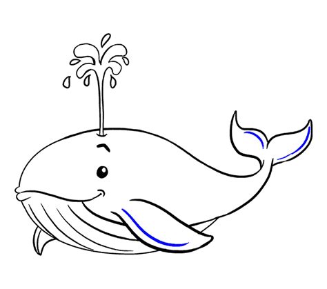 Whale Line Drawing | Free download on ClipArtMag