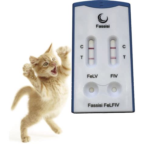 Rapid feline leukemia test - FELFIV - Fassisi, Gesellschaft für ...