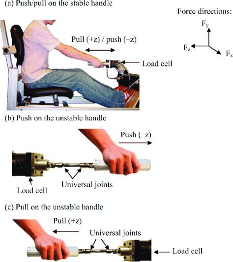 Subjects applied maximum push/pull forces for the stable (a) vs ...