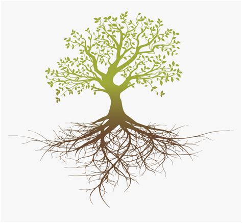 Root System Tree Oak - Tree With Roots Silhouette Png, Transparent Png ...