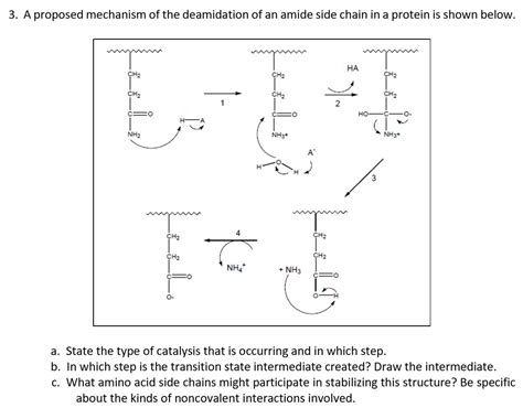 A proposed mechanism of the deamidation of an amide | Chegg.com