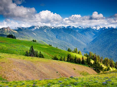 Olympic National Park Guide - Sunset