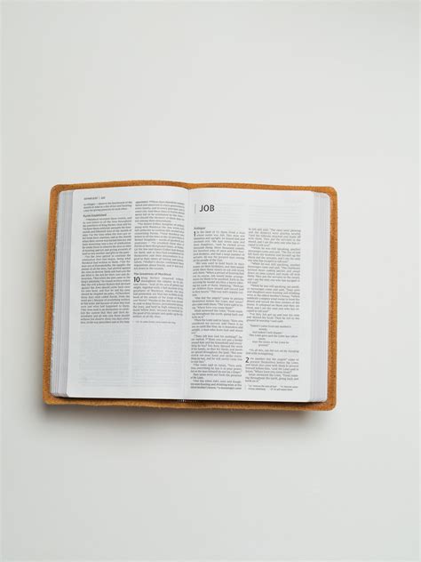 Scriptura Bibles — NIV Thinline Bible