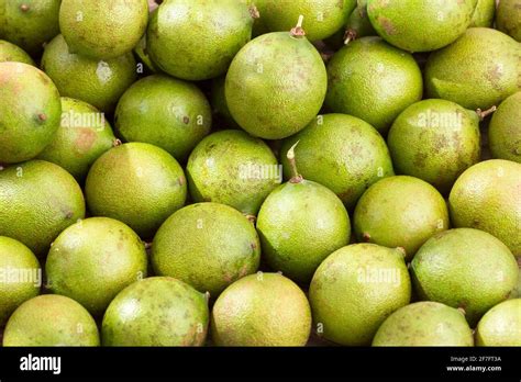 Fresh ripe peeled quenepa fruit - Melicoccus bijugatus Stock Photo - Alamy