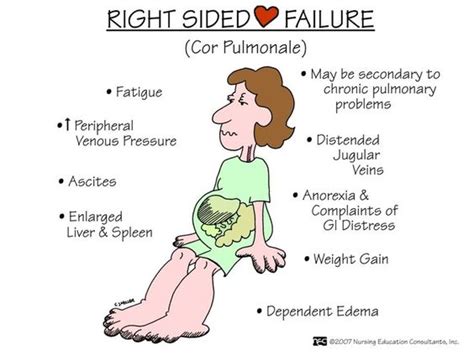 Focused Assessment of the patient: The nurse looks for evidence of worsening of the heart ...