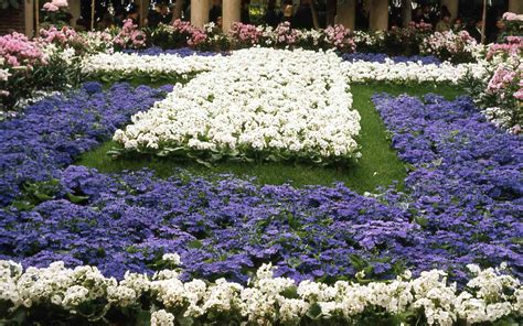 Spring Flower Show 1970 | Phipps Conservatory and Botanical Gardens | Pittsburgh PA