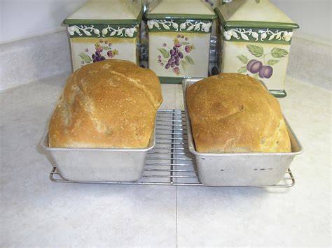 Rustic Sourdough Amish Friendship Bread