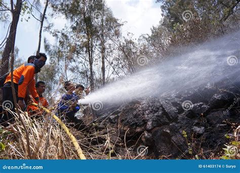 Forest fire editorial stock image. Image of central, east - 61403174