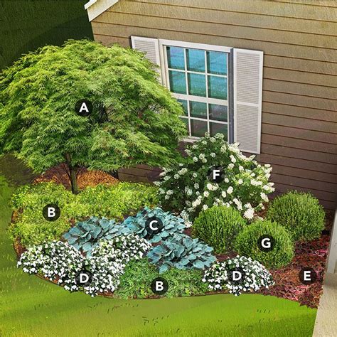 DIY Projects & Ideas | Shade garden design, Shade landscaping, Shade garden