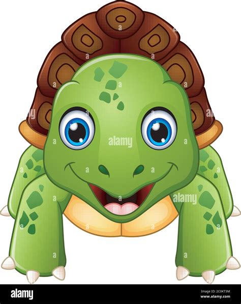 Funny cartoon turtle Stock Vector Image & Art - Alamy