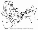Eye Doctor Coloring Pages At GetColoringscom  Free Printable sketch template