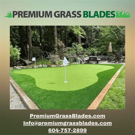 Master Your Game: Backyard Artificial Putting Green Installation Guide