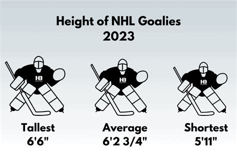 Average Height and Weight of Hockey Goalies (NHL 2023) – Horton Barbell