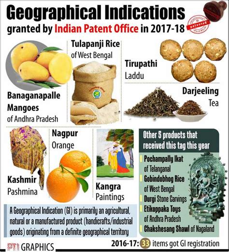 Banaganapalle mangoes, six others get GI tag - The Tribune