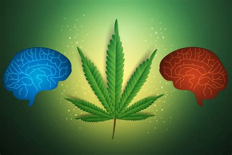 Use of Marijuana: Effect on Brain Health - Professional Heart Daily | American Heart Association