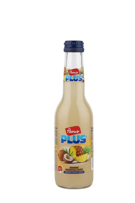 DK06G – Pamir Plus Pineapple-Coconut Drink 24 x 250 ml. – Crescent Specialty Foods, Inc.