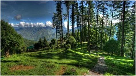 Dhanaulti Tourist Places : वीकेंड पर धनोल्टी की इन दिलचस्प जगहों पर ...