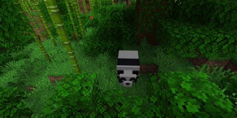 How Rare Is A Brown Panda In Minecraft: Unveiling The Mystery - The Portable Gaming