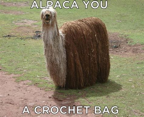 38 Alpaca Memes That Will Either Be The Funniest Or Weirdest Thing You ...