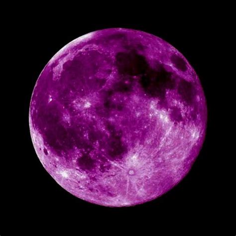 Stream Purple Moon music | Listen to songs, albums, playlists for free ...