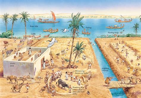 Ancient egypt farming, Ancient egypt history, Ancient egypt